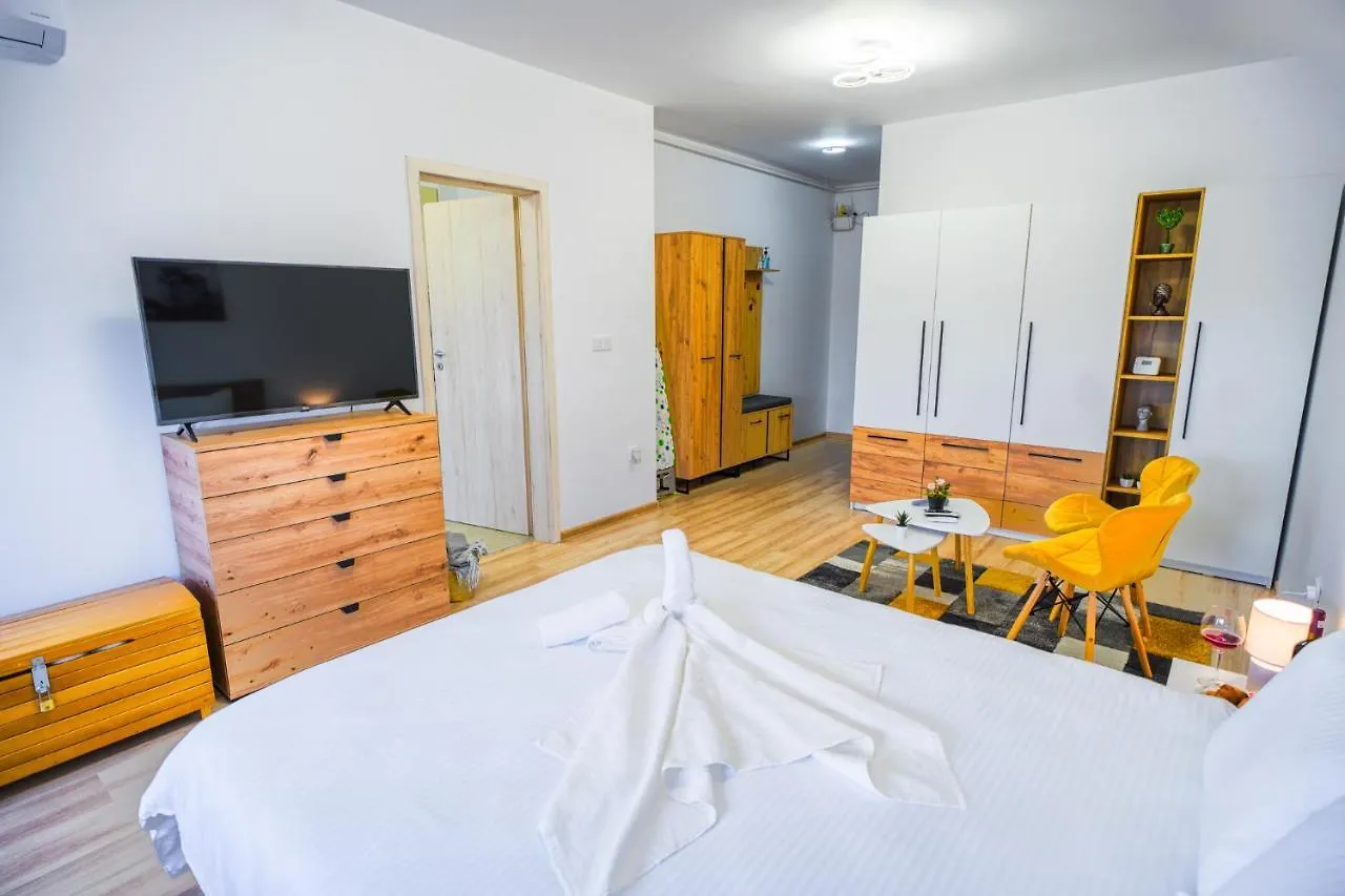 Contemporary Studio With Balcony - New Building Bucharest Apartment